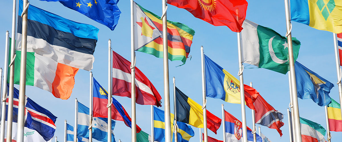 international flags on flag poles against a clear blue sky