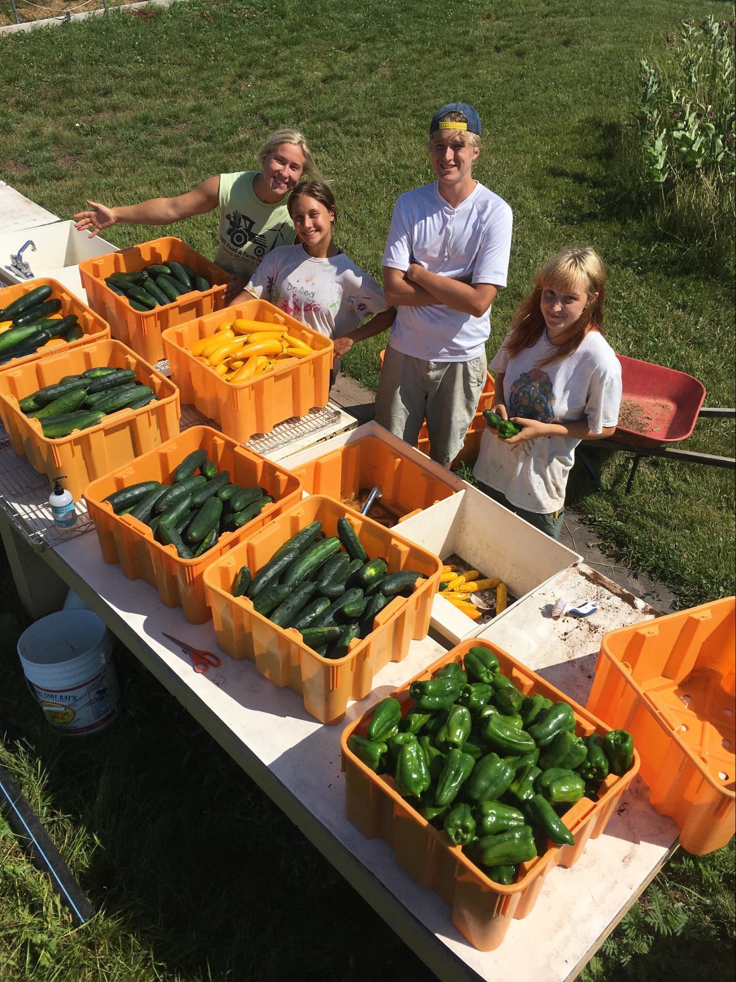 Students showing off containers of squash and zucchini on a table.