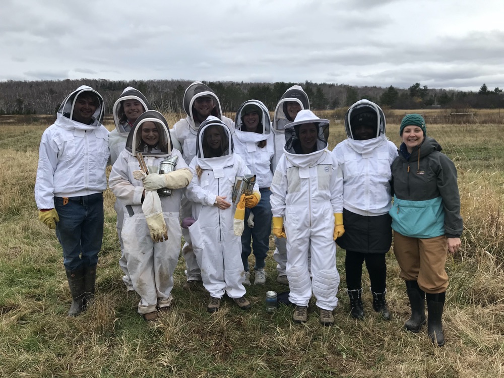 Students learn bee keeping skills