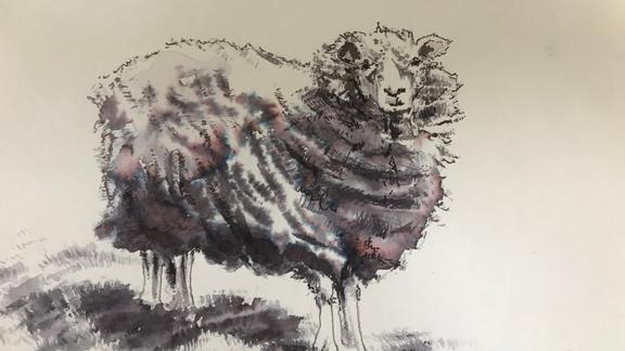 Ink drawing of a sheep