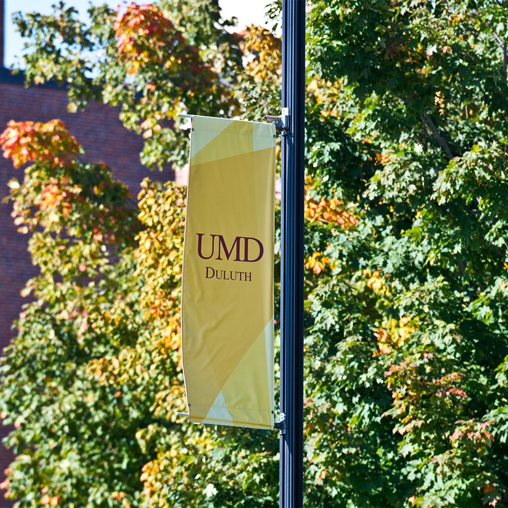 photo of UMD duluth flag
