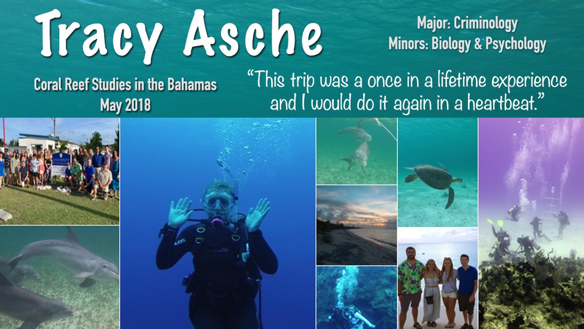 Tracy Asche Bahamas May 2018