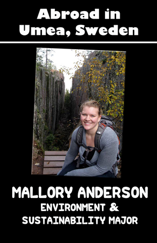 Mallory Anderson: Umeå, Sweden 
