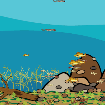 Screen shot of the project with just the invasive species of fish